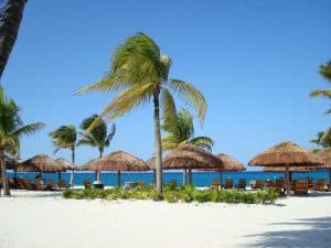 Soothing tropical beach with palm trees, thatched umbrellas, and lounge chairs overlooking the ocean, perfect for relaxing vacation at Cozumel.