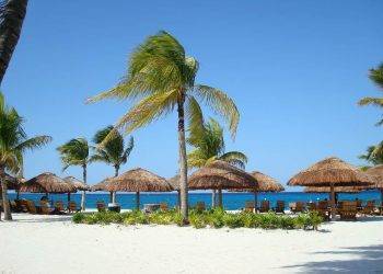 Soothing tropical beach with palm trees, thatched umbrellas, and lounge chairs overlooking the ocean, perfect for relaxing vacation at Cozumel.
