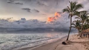 Serene Caribbean beach scene with palm trees, sandy shoreline, and colorful sunset skies, perfect for a tropical getaway at Cozumel.