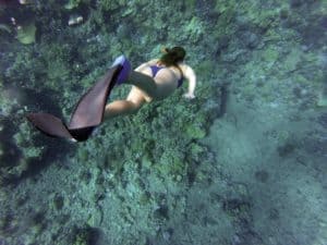 Colorful underwater scene with a woman swimming over a vibrant coral reef in Cozumel, Mexico, exploring marine life. Perfect for vacation rentals at Stingray Villa and diving adventures.