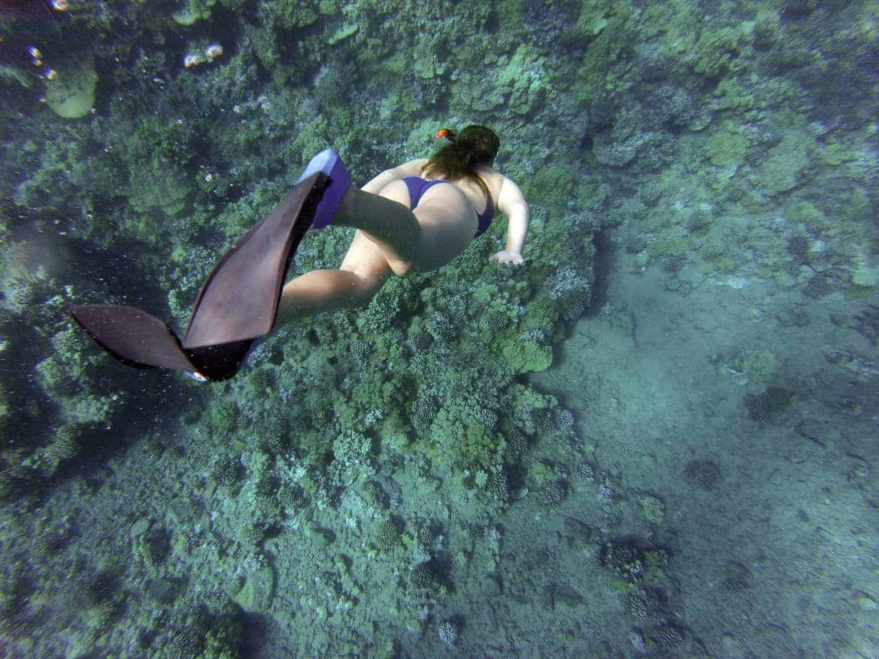 Free Snorkeling around Cozumel – Stingray Villa