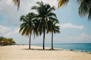 Relaxing beach with palm trees near Stingray Villa, Cozumel, Mexico, featuring white sandy shores and turquoise waters perfect for a tropical vacation.