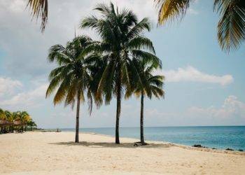 Relaxing beach with palm trees near Stingray Villa, Cozumel, Mexico, featuring white sandy shores and turquoise waters perfect for a tropical vacation.