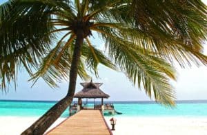 Tropical palm tree over clear waters near Stingray Villa, Cozumel Mexico, with a beachfront gazebo and wooden pier. Perfect for vacation rentals, beach holidays, and relaxing in paradise.