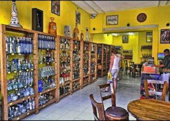 An indoor tequila shop near Stingray Villa, Cozumel Mexico, featuring a wide selection of tequila bottles with vibrant yellow walls and wooden shelving.
