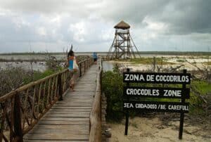Secluded crocodile and wildlife viewing area at Cozumel, Mexico, near Stingray Villa vacation rental, featuring a wooden walkway, observation tower, and natural wetlands.
