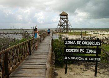Secluded crocodile and wildlife viewing area at Cozumel, Mexico, near Stingray Villa vacation rental, featuring a wooden walkway, observation tower, and natural wetlands.