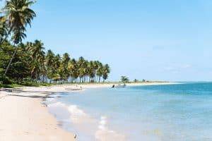 Upscale beach view of Cozumel Mexico near Stingray Villa vacation rental featuring white sandy shores, turquoise waters, and lush palm trees for a perfect tropical getaway