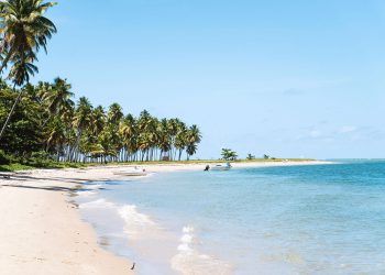 Upscale beach view of Cozumel Mexico near Stingray Villa vacation rental featuring white sandy shores, turquoise waters, and lush palm trees for a perfect tropical getaway