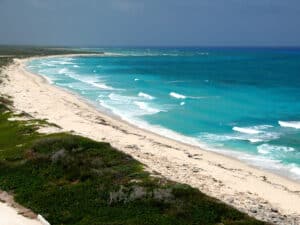 Vibrant Cozumel beach with turquoise waters, white sandy shoreline, lush green dunes, perfect for vacation at Stingray Villa, a top vacation rental in Mexico's Caribbean.