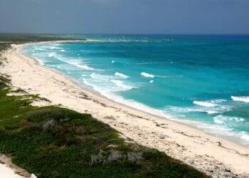 Vibrant Cozumel beach with turquoise waters, white sandy shoreline, lush green dunes, perfect for vacation at Stingray Villa, a top vacation rental in Mexico's Caribbean.