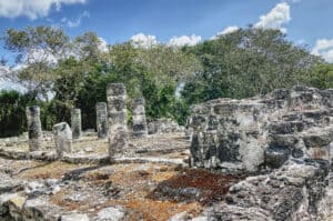 Cozumel's Indigenous Flora and Fauna around the ruins with stone pillars and archaeological site near lush greenery and blue sky, perfect for vacation rental Stingray Villa.