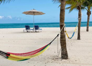 Colorful hammock tied between palm trees on a pristine Isla Pasión Cozumel beach with blue ocean and sky in the background.