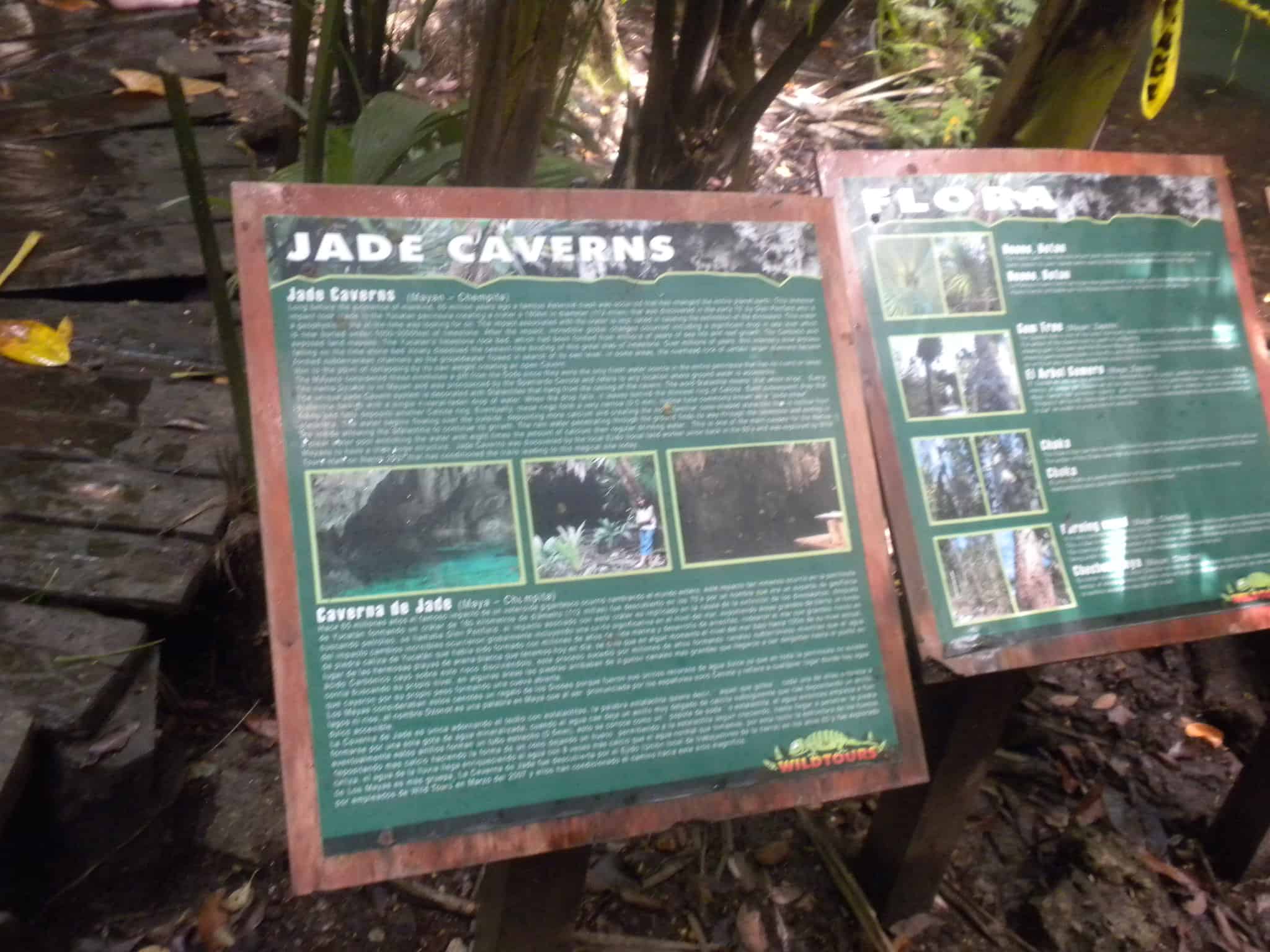 Exploring Cozumel's hidden Cenotes – Stingray Villa