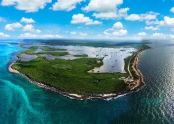 Lush tropical island and mangrove wetlands in Cozumel, Mexico, perfect for eco-tours and outdoor adventures near Stingray Villa vacation rental.