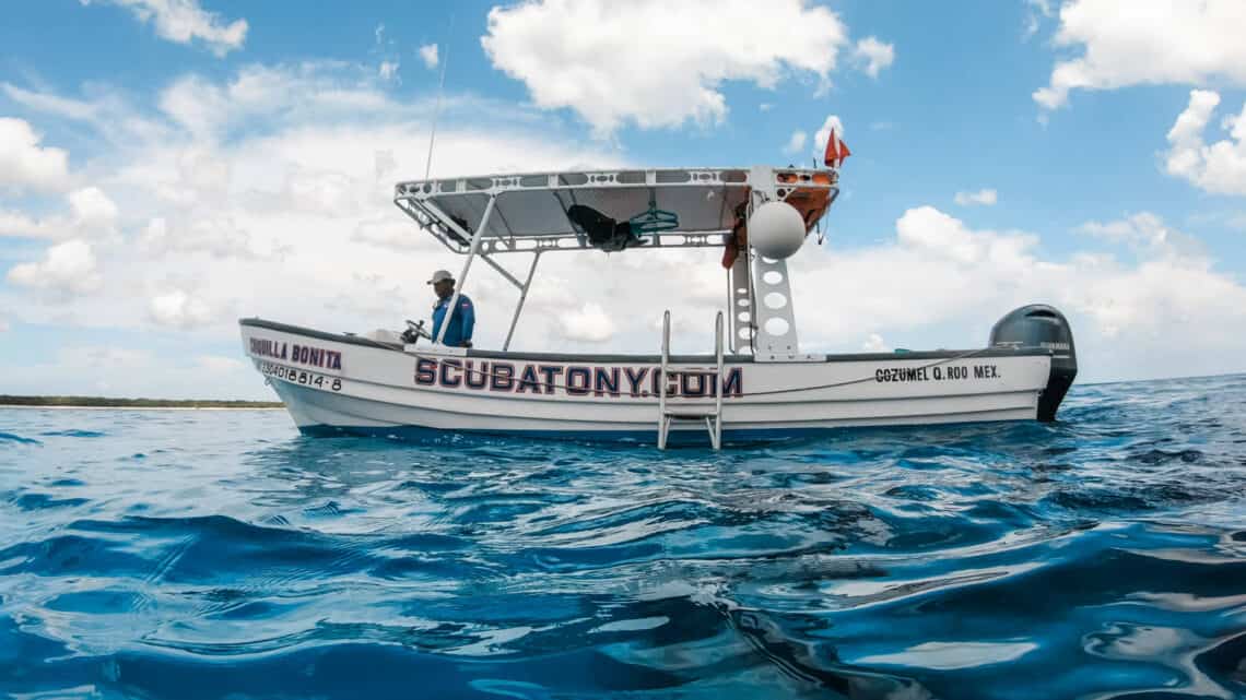 The Ultimate Oceanic Adventure Cozumel Dive Shops Uncovered