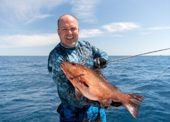 Spearfishing A Snapper