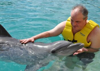 Dolphin encounter at Cozumel, enjoying a close interaction with the friendly dolphin in clear turquoise waters.
