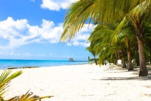 Bright tropical beach scene with white sand, palm trees, blue ocean, and clear sky at Cozumel.