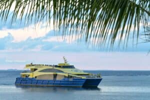 High-speed ferry boat cruising through clear waters with palm tree leaves in the foreground.