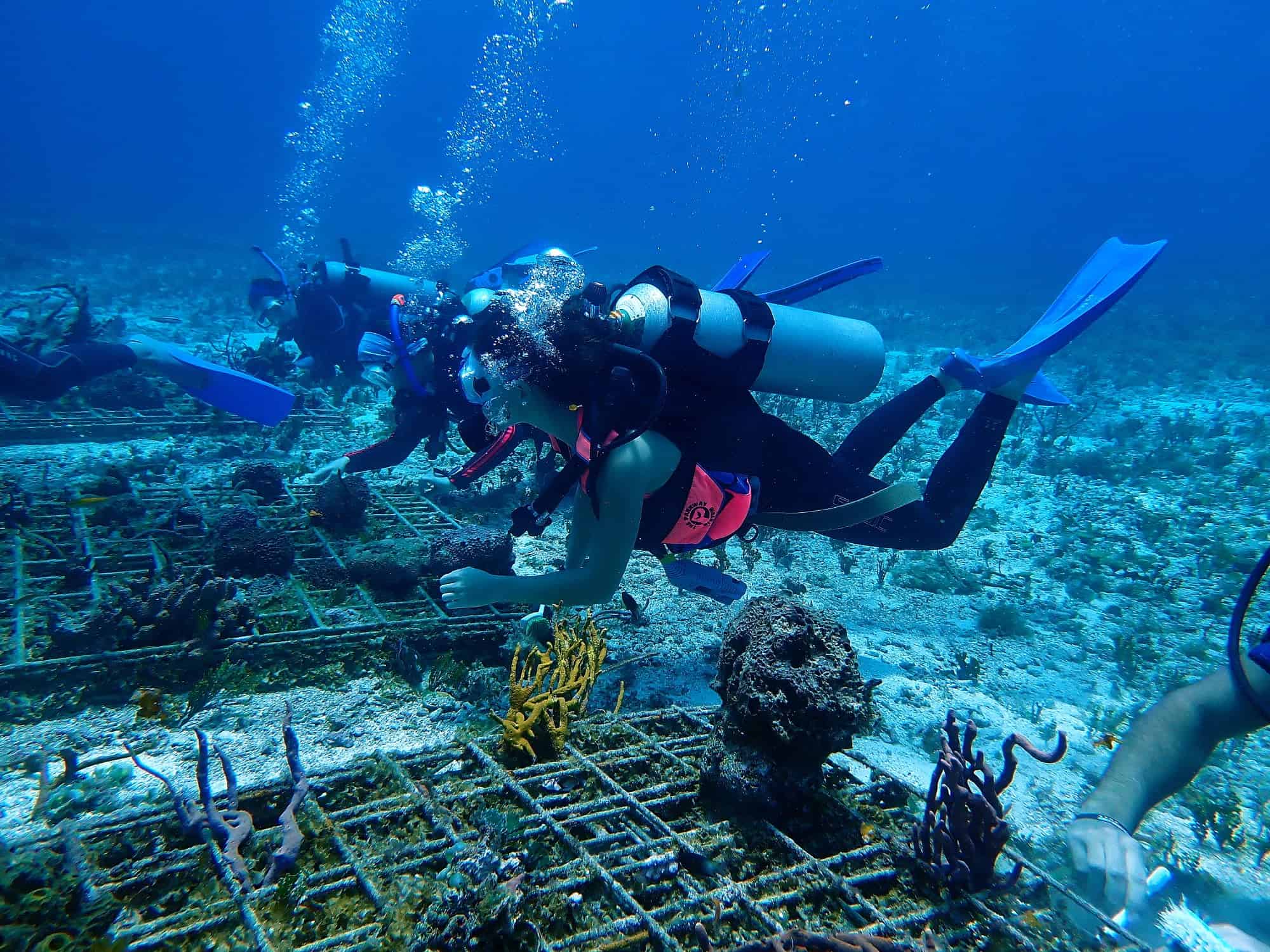 Scuba divers exploring underwater coral reef and marine life on a bright, clear day.