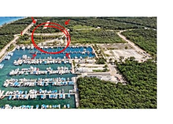 Marina Fonatur marina in Cozumel with boat slips, vibrant water, and nearby jungle.