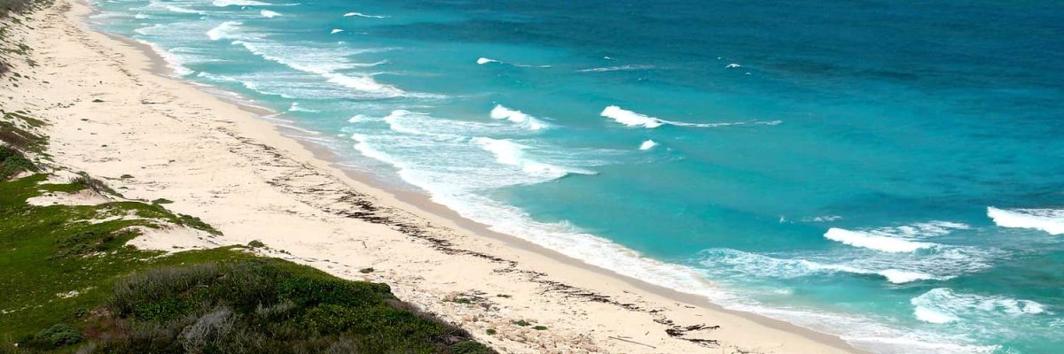 Vibrant Cozumel beach with turquoise waters, white sandy shoreline, lush green dunes, perfect for vacation at Stingray Villa, a top vacation rental in Mexico's Caribbean.