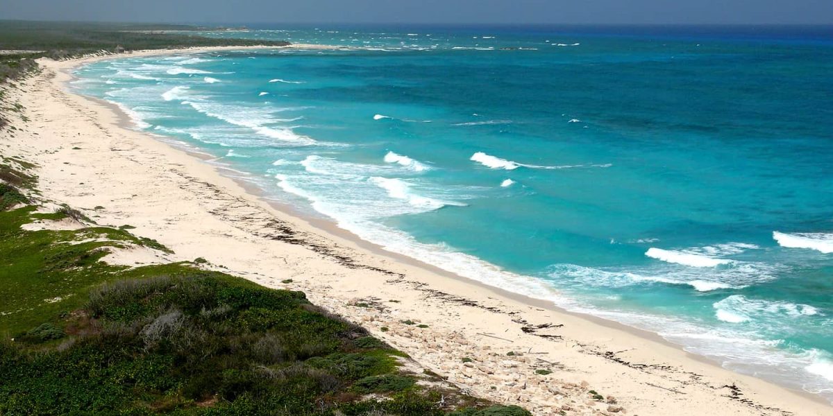 Vibrant Cozumel beach with turquoise waters, white sandy shoreline, lush green dunes, perfect for vacation at Stingray Villa, a top vacation rental in Mexico's Caribbean.