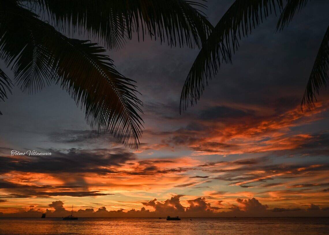 A stunning sunset over the Caribbean Sea in Cozumel, Mexico, viewed from Stingray Villa. The sky is painted with vibrant orange, pink, and purple hues, framed by palm trees.